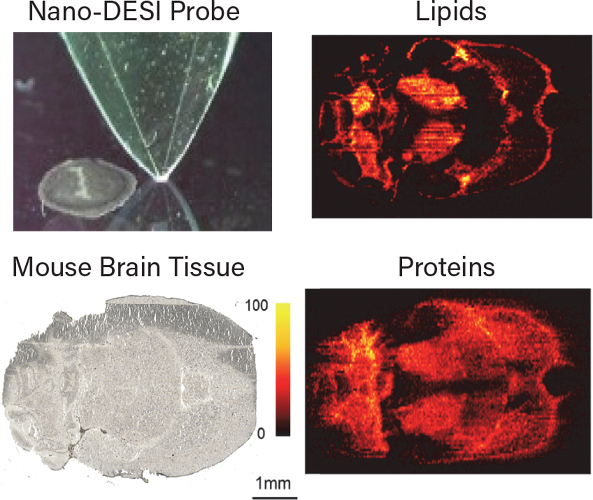 Topic Image Right